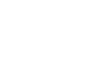 Web Snack